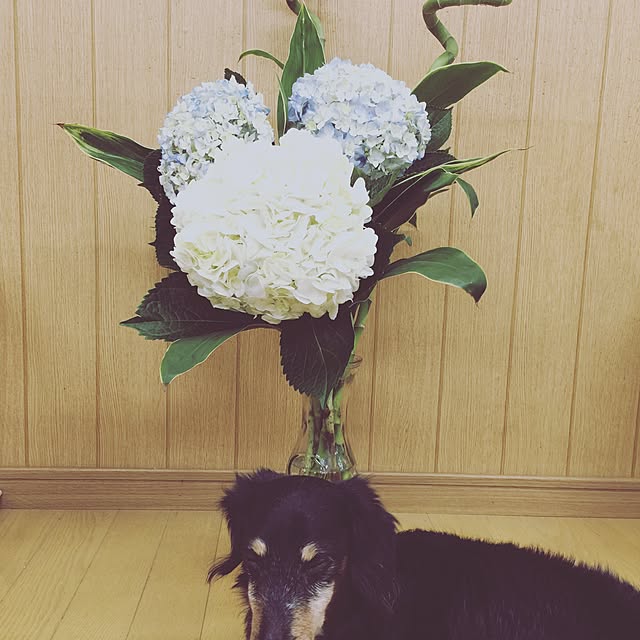 hana.さんの実例写真