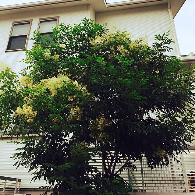 marley0209さんの実例写真