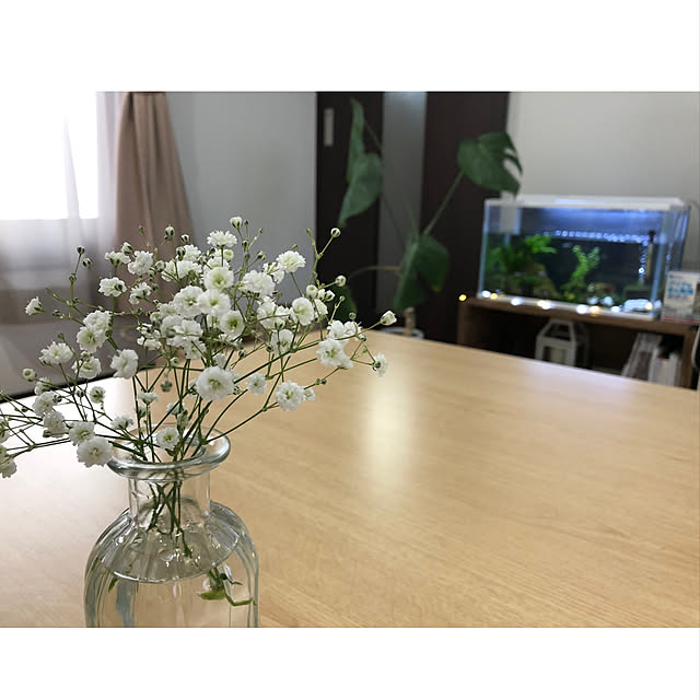 a..yaさんの実例写真