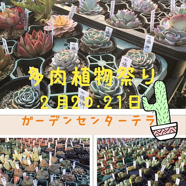 mamiさんの実例写真