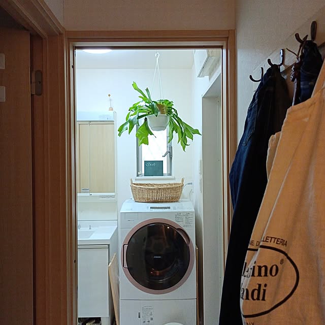 バス/トイレ/コウモリラン/カゴ収納/ドライフラワーのある暮らし/グリーンのある暮らし...などのインテリア実例 - 2023-10-16 15:50:28