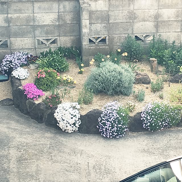 Lupinthe3rdさんの実例写真