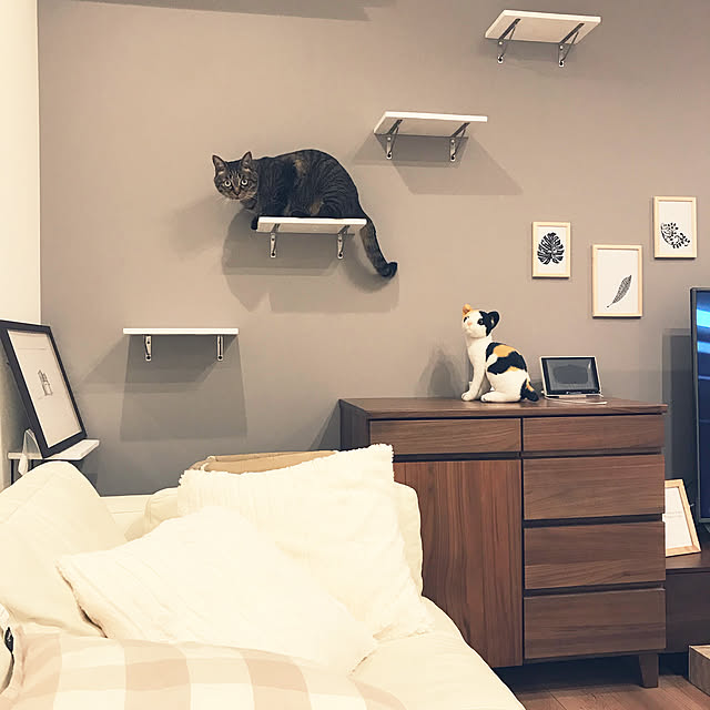 Moraiさんの実例写真
