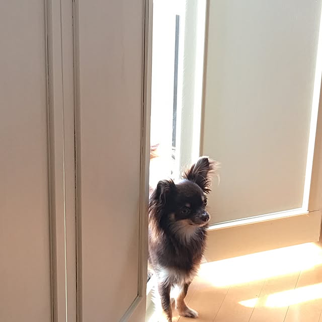 takaさんの実例写真