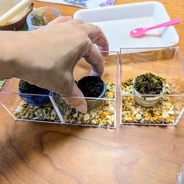 mi-saさんの部屋