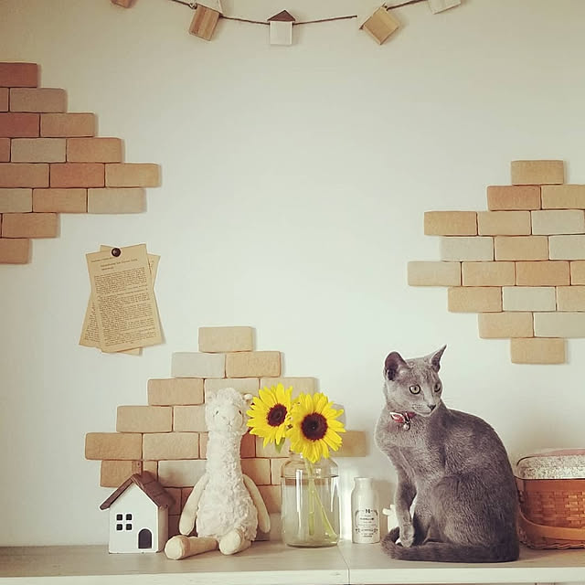 chocomiikoさんの実例写真