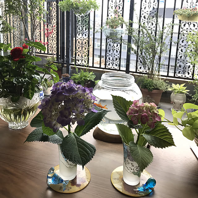 fuyiqian1026さんの実例写真