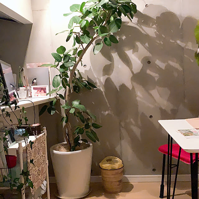 olive18さんの実例写真