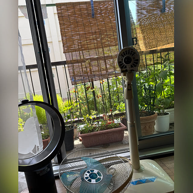 syutmmさんの実例写真