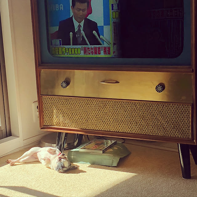 watsonさんの実例写真