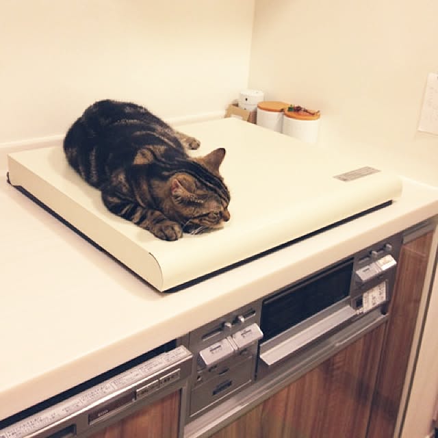 mikomaruさんの実例写真