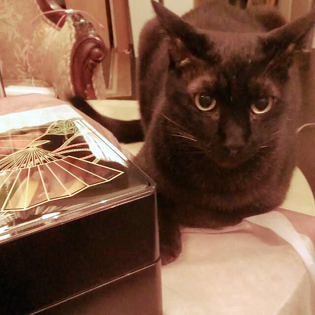 Yukoさんの実例写真