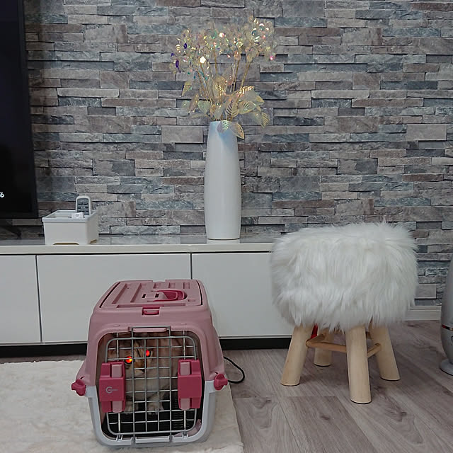 kohakuさんの実例写真