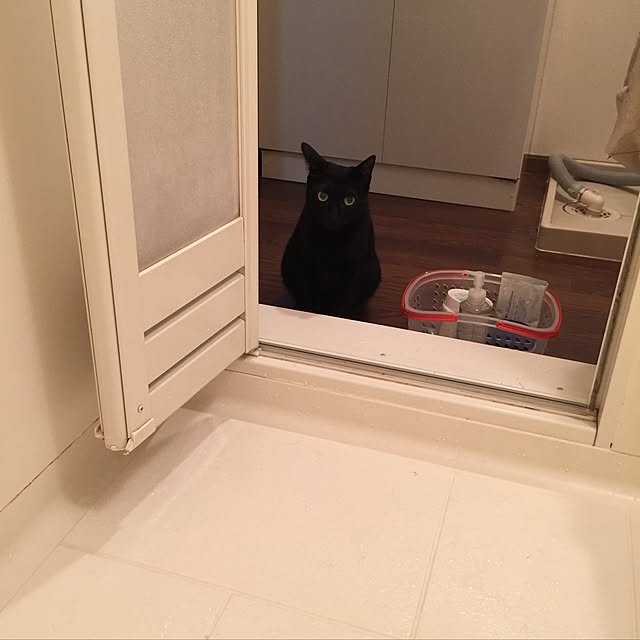 haney07さんの実例写真