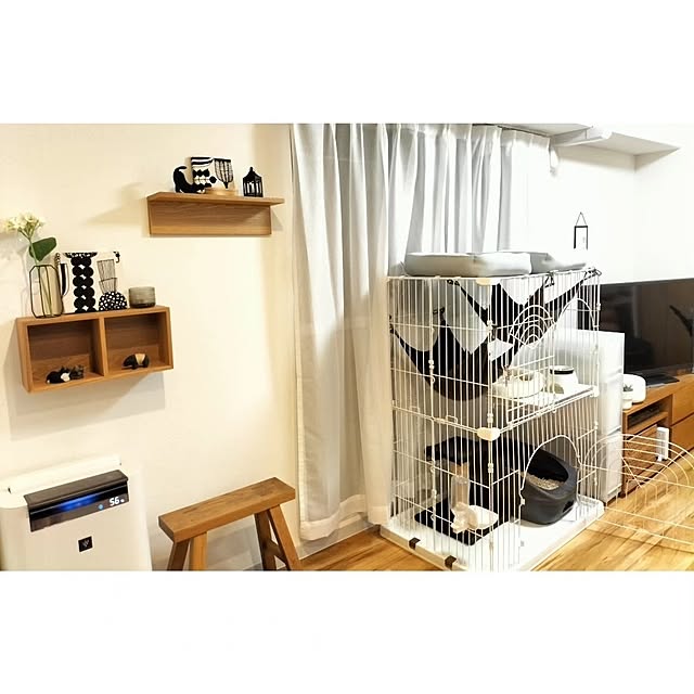hihaさんの部屋