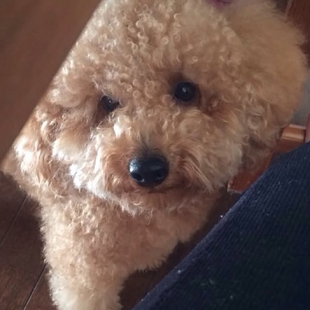 ochokoさんの実例写真