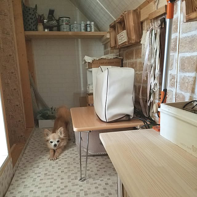 cotubuさんの実例写真
