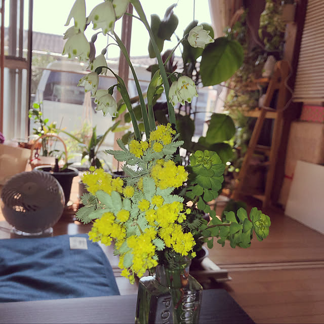 lilyさんの実例写真
