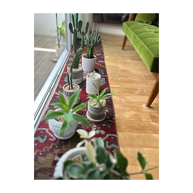 Aliさんの部屋