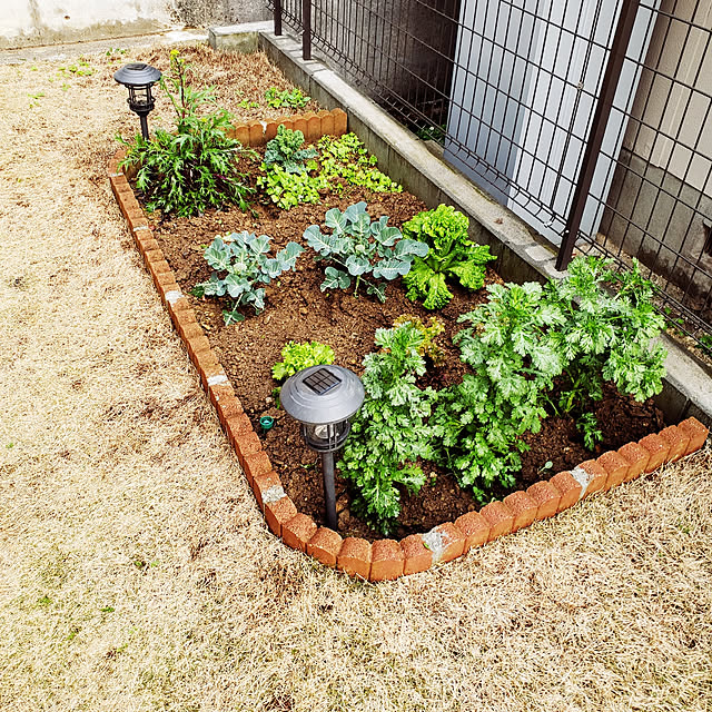 masaさんの実例写真