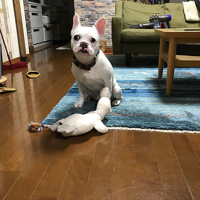 gin_mamaさんの実例写真