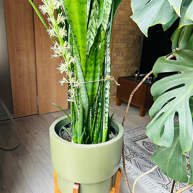 koereeさんの部屋