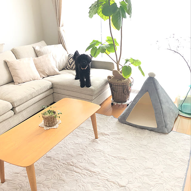UNI.mamaさんの部屋