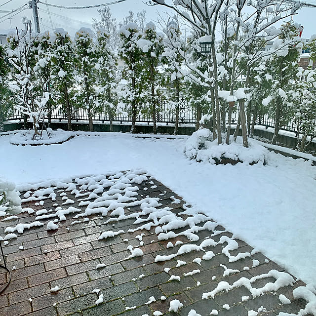 Momoさんの実例写真