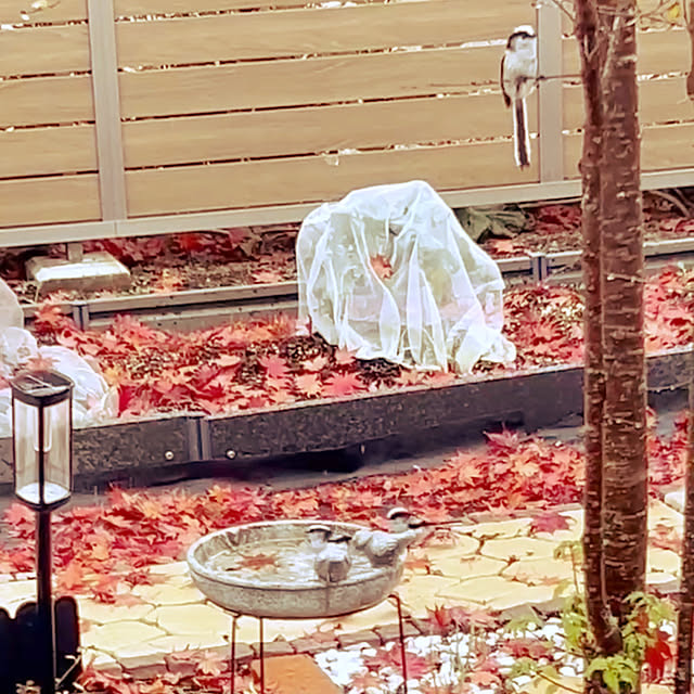 chanduさんの部屋