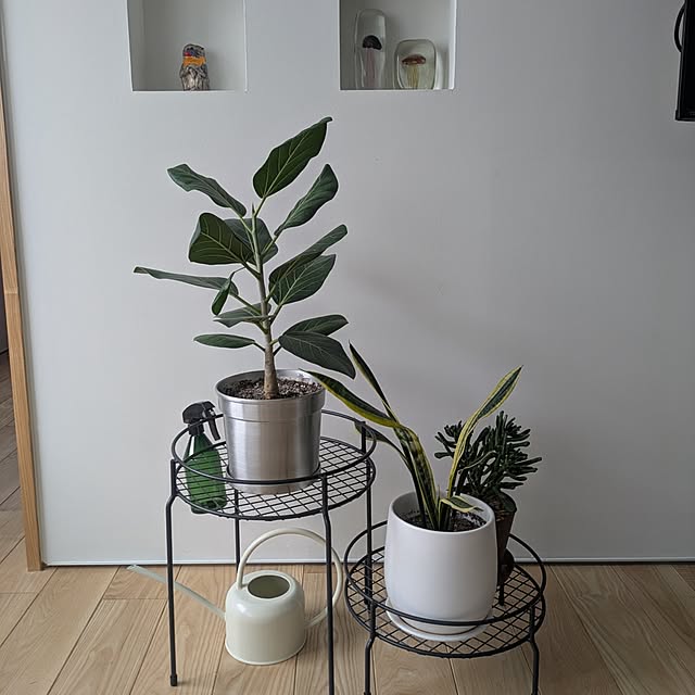 omosayabokoさんの実例写真