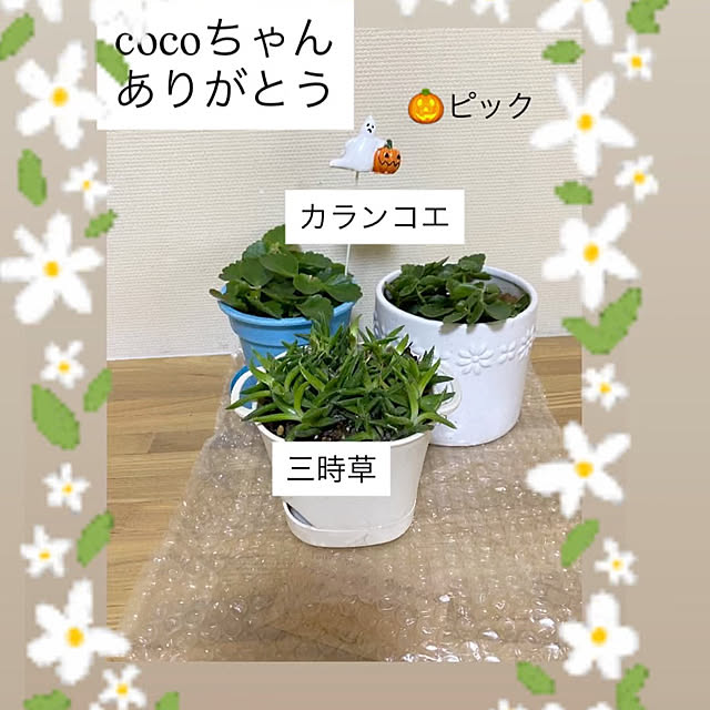 YuuKoさんの実例写真