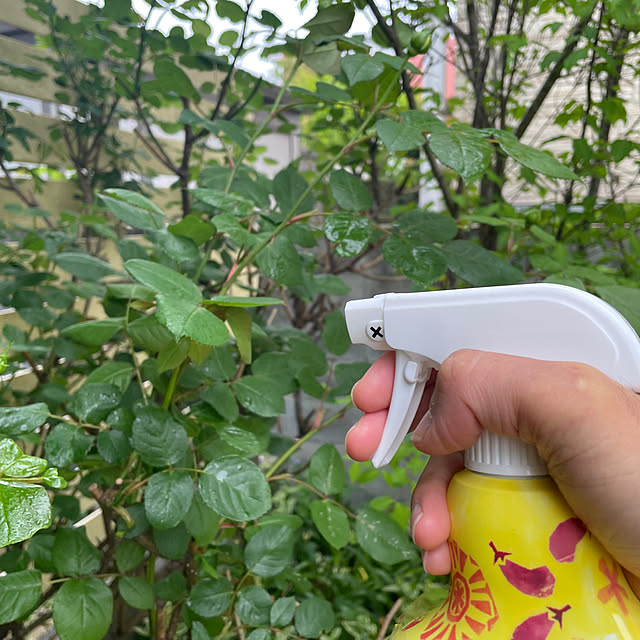 cheeさんの実例写真