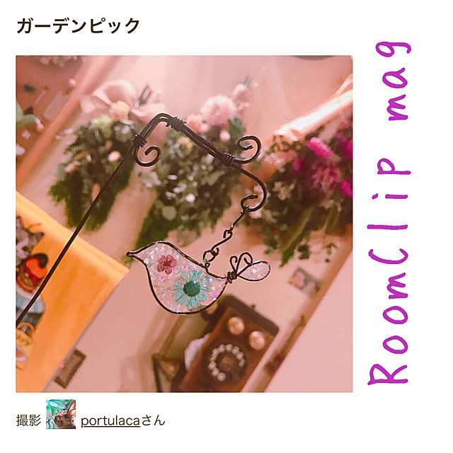 portulacaさんの実例写真