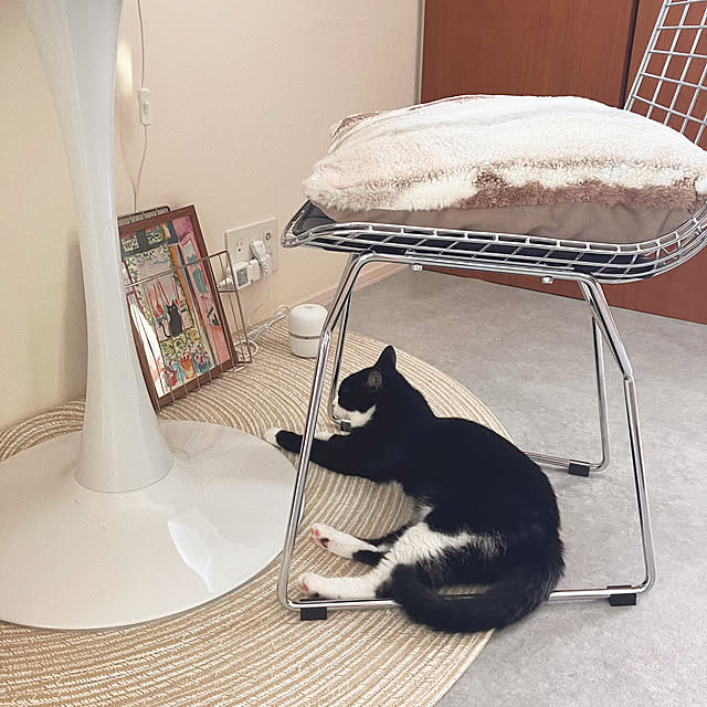 mako2yaさんの部屋