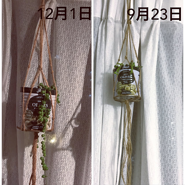 eshinobumさんの実例写真