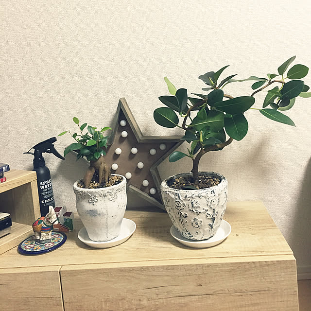 saachanさんの実例写真