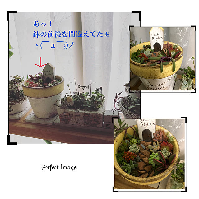 loliontoaliceveさんの実例写真