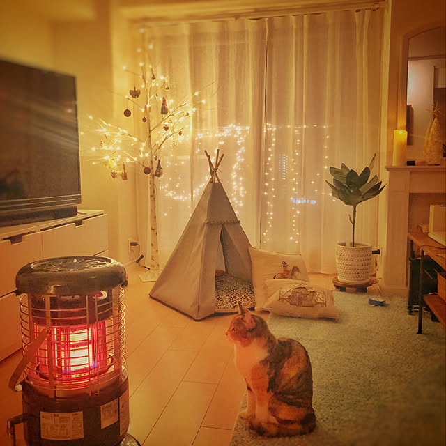 Chihiroさんの実例写真