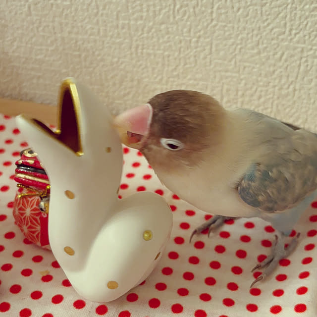sakiさんの部屋