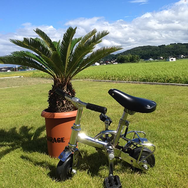 hanrokusaさんの実例写真