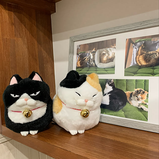 mikeume7さんの実例写真