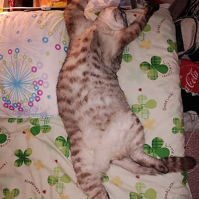 Manaさんの実例写真