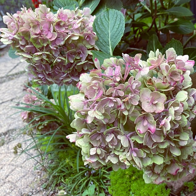 min_nimさんの実例写真