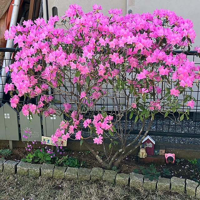 maron915さんの実例写真