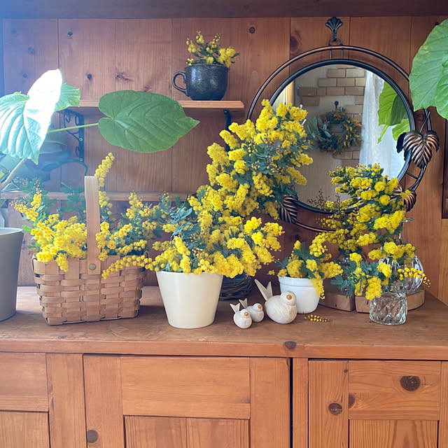 mintteaさんの実例写真