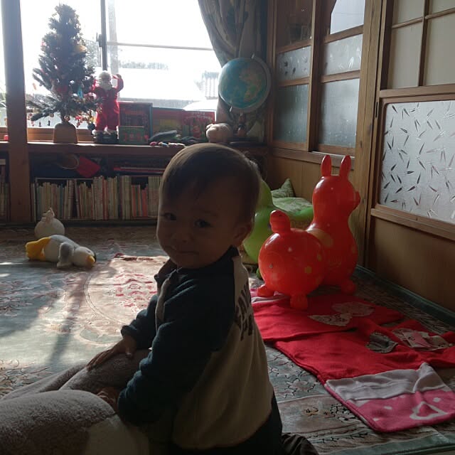 kikuさんの実例写真