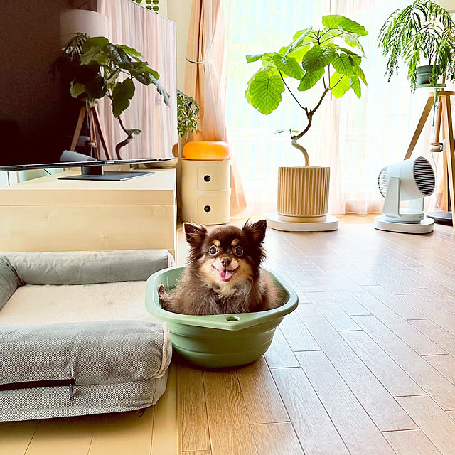 miyuさんの実例写真