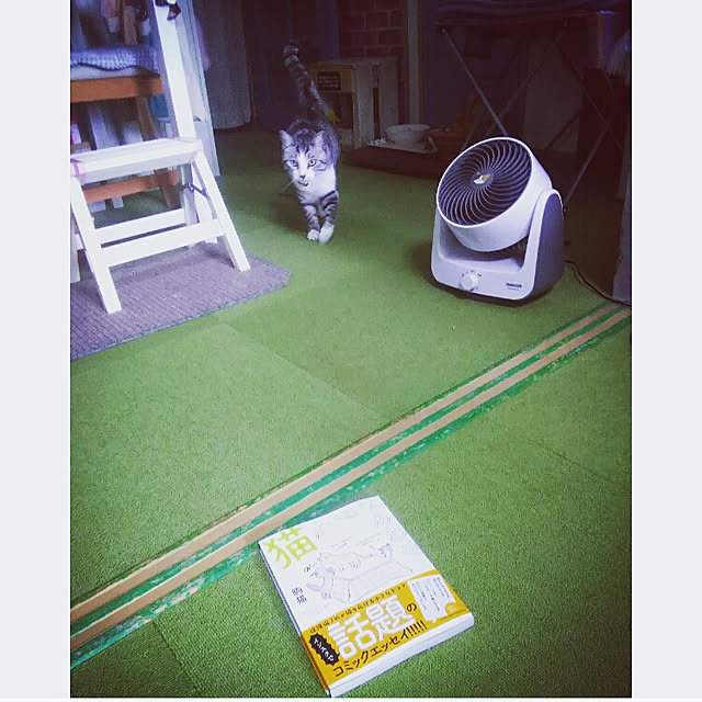 mntcさんの実例写真