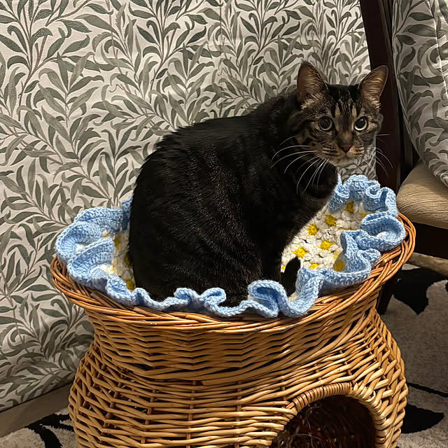 momocchiさんの部屋