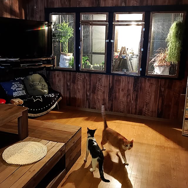 NIKOPANDAさんの実例写真